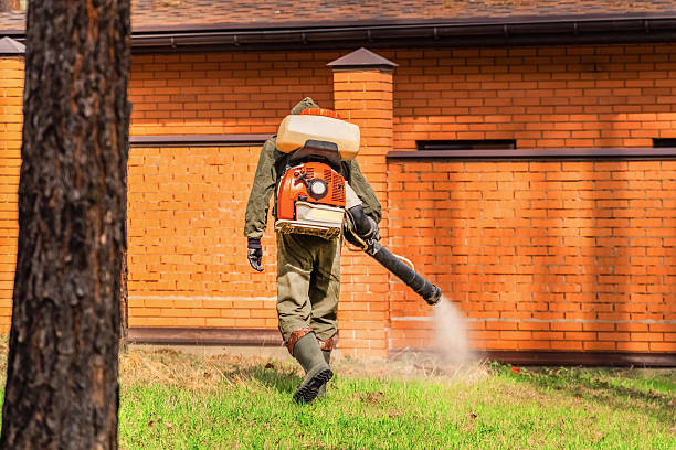 Trusted Ant Control service in Crossville, TN - Nex Pest Control